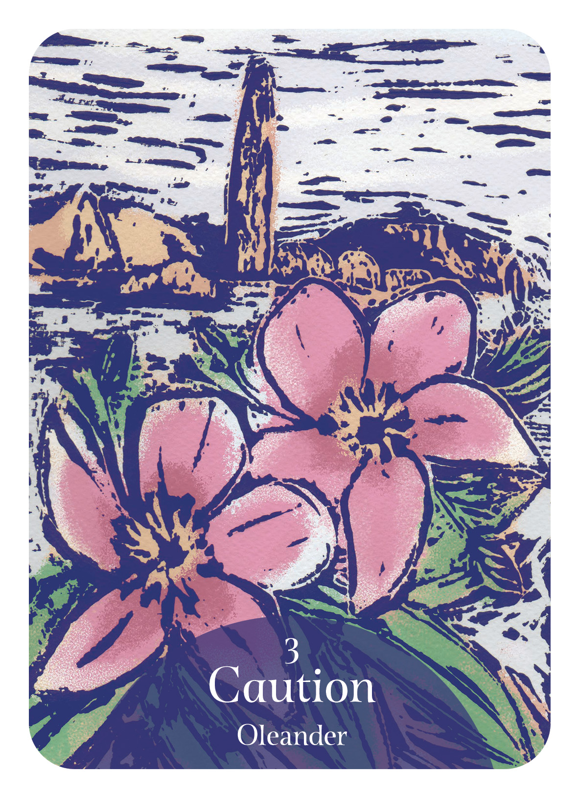 Language of Flowers Cards